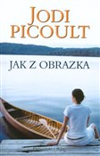 polish book : Jak z obra... - Jodi Picoult