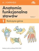 Zobacz : Anatomia f... - I.A. 	Kapandji