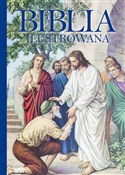 Polska książka : Biblia ilu... - Opracowanie Zbiorowe