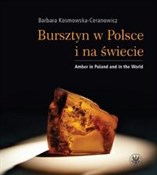 Polska książka : Bursztyn w... - Barbara Kosmowska-Ceranowicz
