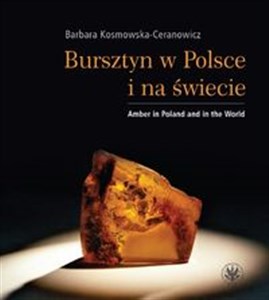 Picture of Bursztyn w Polsce i na świecie Amber in Poland and in the World