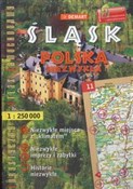 polish book : Śląsk Pols...