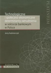 Picture of Technologiczne i społeczno ekonomiczne determinanty zatrudnienia w sektorze bankowym w Polsce