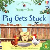Pig Gets S... - Heather Amery -  foreign books in polish 