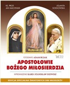 Apostołowi... - Jolanta Sosnowska, Jan Machniak, Stanisław Dziwisz -  books in polish 