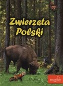 Zwierzęta ... - Elżbieta Zarych -  foreign books in polish 
