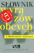 polish book : Słownik wy... - Lidia Drabik