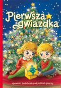 Polska książka : Pierwsza g... - Anna Potyra, Ariadna Piepiórka, Agnieszka Gadzińska