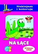 Na łące Na... - Aleksander Małecki -  books from Poland
