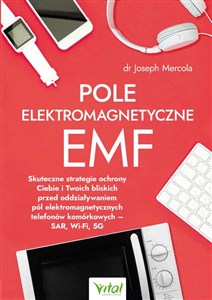 Picture of Pole elektromagnetyczne EMF