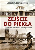 Zejście do... - Leszek Adamczewski -  books from Poland