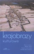 Krajobrazy... - Tadeusz Stryjakiewicz, Robert Traba, Violetta Julkowska -  Polish Bookstore 