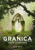 Granica Zb... - Artur Wells -  books from Poland