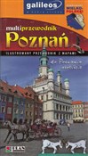 Poznań - Rafał Fronia -  books in polish 