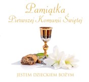 polish book : Pamiątka P... - Joanna Jaskuła, Anna Idaszak