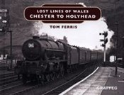 polish book : Lost Lines... - Tom Ferris