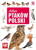 Polska książka : Atlas ptak... - Magdalena Janiszewska, Radosław włodarczyk