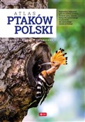 Atlas ptak... - Anna Przybyłowicz, Łukasz Przybyłowicz -  books in polish 