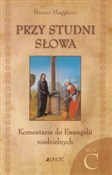 polish book : Przy studn... - Bruno Maggioni