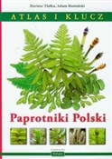 Paprotniki... - Dariusz Tlałka, Adam Rostański -  foreign books in polish 