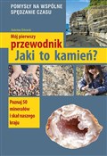 Polska książka : Mój pierws... - Radosław Żbikowski