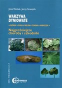 Warzywa dy... - Józef Robak, Jerzy Szwejda -  books in polish 