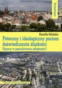 polish book : Potoczny i... - Kamilla Dolińska