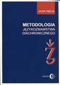 Metodologi... - Jacek Perlin -  books in polish 