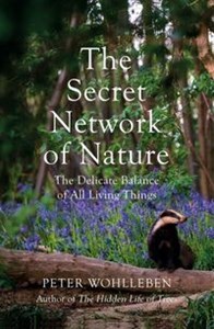 Obrazek Secret Network of Nature