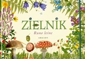 Zielnik Ru... - Henryk Garbarczyk -  foreign books in polish 
