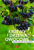 Krzewy i d... - Opracowanie Zbiorowe -  books from Poland