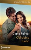 Odrobina n... - Diana Palmer -  books from Poland