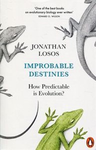 Picture of Improbable Destinies