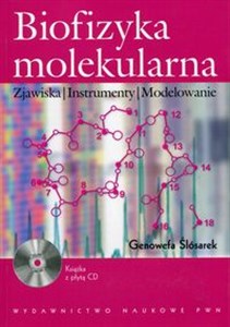 Picture of Biofizyka molekularna Zjawiska, instrumenty, modelowanie. Książka z płytą CD