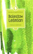 Dzieła wsz... - Bolesław Leśmian -  foreign books in polish 