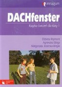 Dachfenste... - Małgorzata Jezierska-Wiejak, Elżbieta Reymont, Agnieszka Sibiga -  books from Poland
