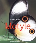 Motyle - Thomas Marent -  books in polish 