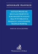 Polska książka : Kształtowa... - Bartosz Kołaczkowski