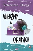 Polska książka : Wiedźmy w ... - Małgorzata Kursa