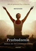 Przebudzen... - Meszuge -  books from Poland