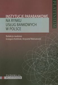 Obrazek Instytucje parabankowe na rynku usług bankowych w Polsce