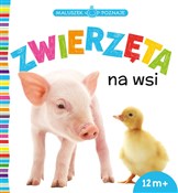 Maluszek p... - Opracowanie Zbiorowe -  Polish Bookstore 