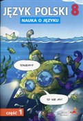 Język pols... - Piotr Borys, Beata Fiszer, Małgorzata Hajduk -  books from Poland