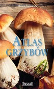 polish book : Atlas grzy... - Marek Snowarski
