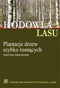 Zobacz : Hodowla la... - Kazimierz Zajączkowski