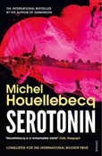 Serotonin - Michel Houellebecq -  foreign books in polish 
