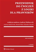 Przewodnik... - Radosław Brzeski, Andrzej Malinowski, Michał Pełka -  Polish Bookstore 