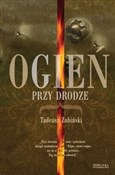 Ogień przy... - Tadeusz Zubiński -  books in polish 