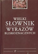 polish book : Wielki sło... - Arkadiusz Latusek, Przemysław Pilarski