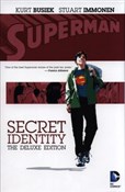 polish book : Superman S... - Kurt Busiek, Stuart Immonen